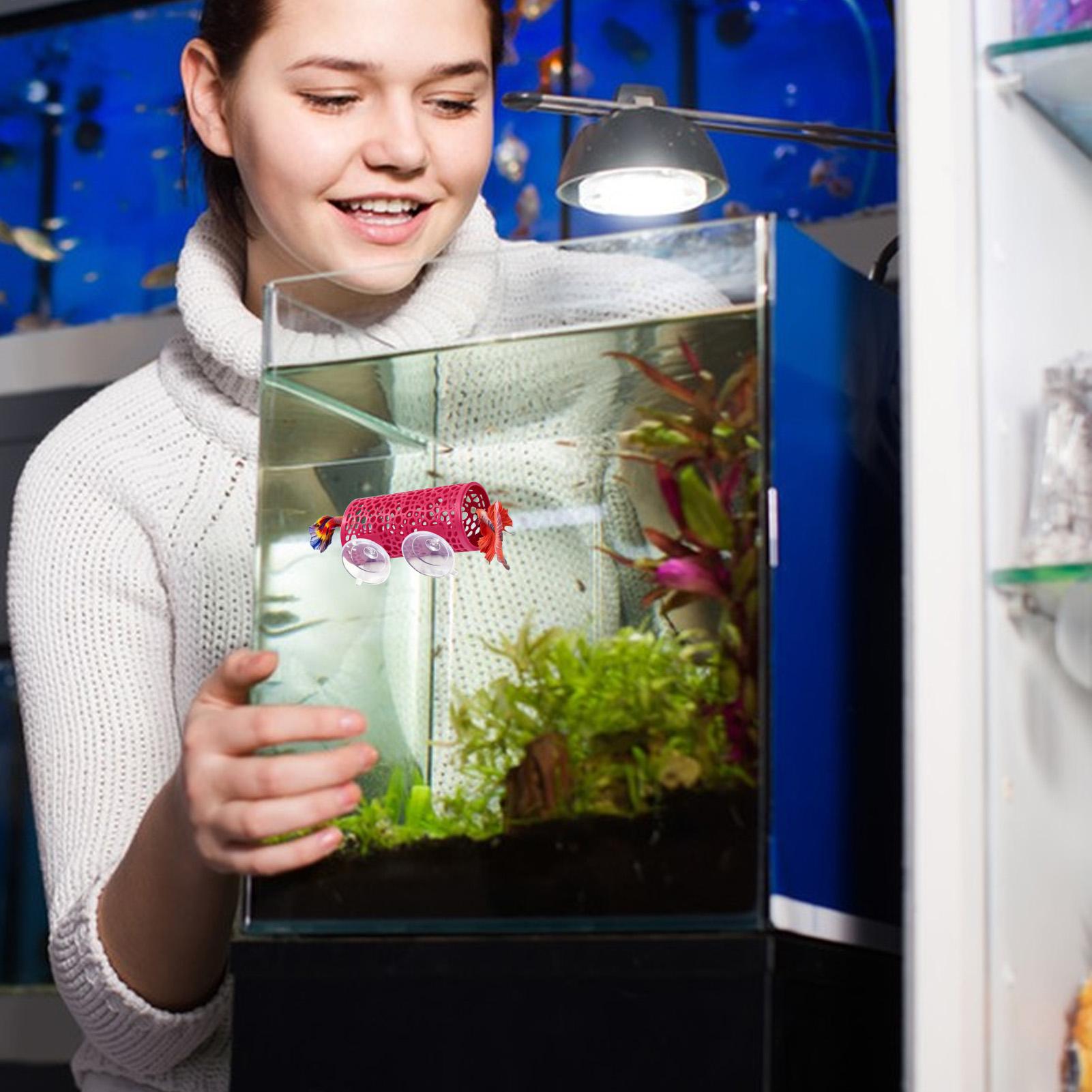 Aquarium Fish Youtube - Betta-Habitat, Ruheplatz, Ornament, Fischtunnel, Spielzeug für