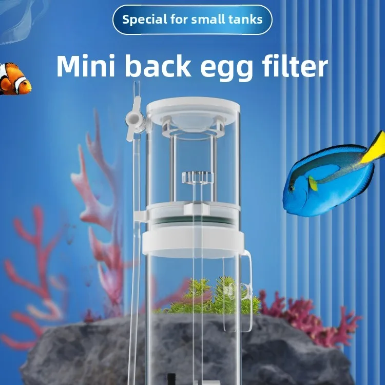 Protein Skimmer Reef - 110V-240V Neuer Mini-Aquarium-Proteinabscheider Meerwasser-Korallenfilter Aquarium Eingebauter