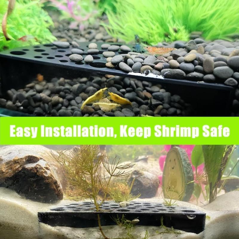 Aquarium Fish For Beginners - Neue versteckte Aquariumhöhle für kleine Fische