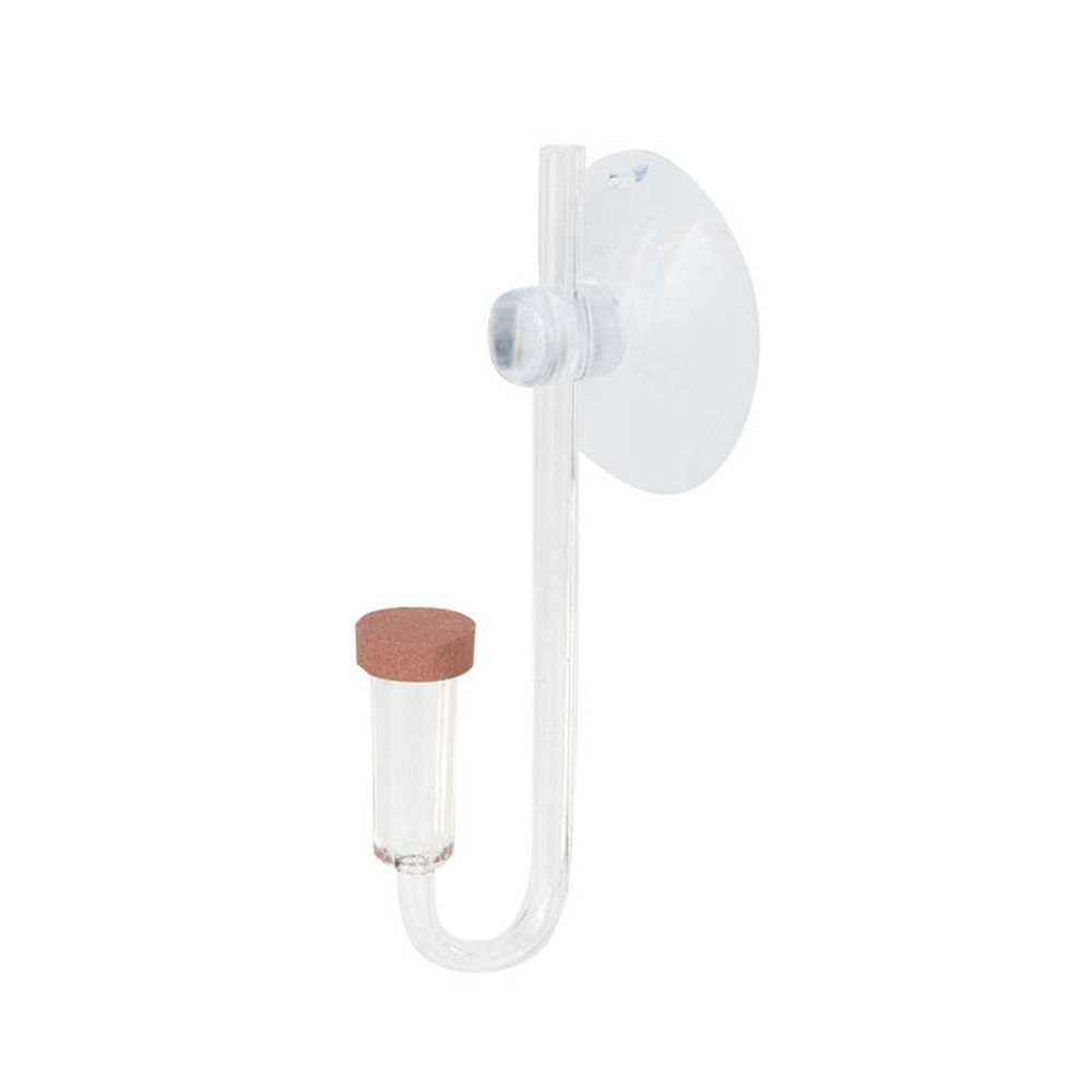 Aquarium Fish Real - Acryl Mini Aquarium Live Pflanze U