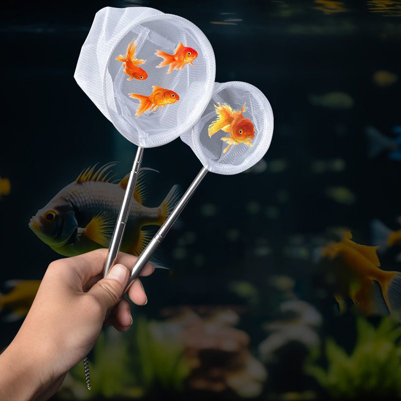 (BF06) Aquarium-Fischfangnetz  – Aquarium Fish Trap Bewertung und Preis