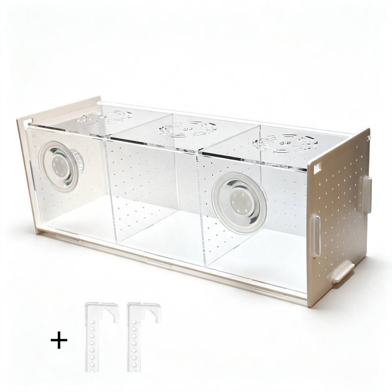 Multifunktionale Aquarium-Fisc – Aquarium Fish Parrot Bewertung und Preis