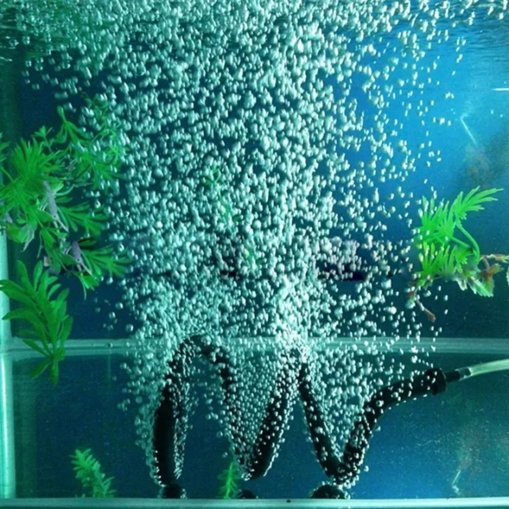Aquarium-Luftblasenleiste aus  – Aquarium Fish Youtube Bewertung und Preis