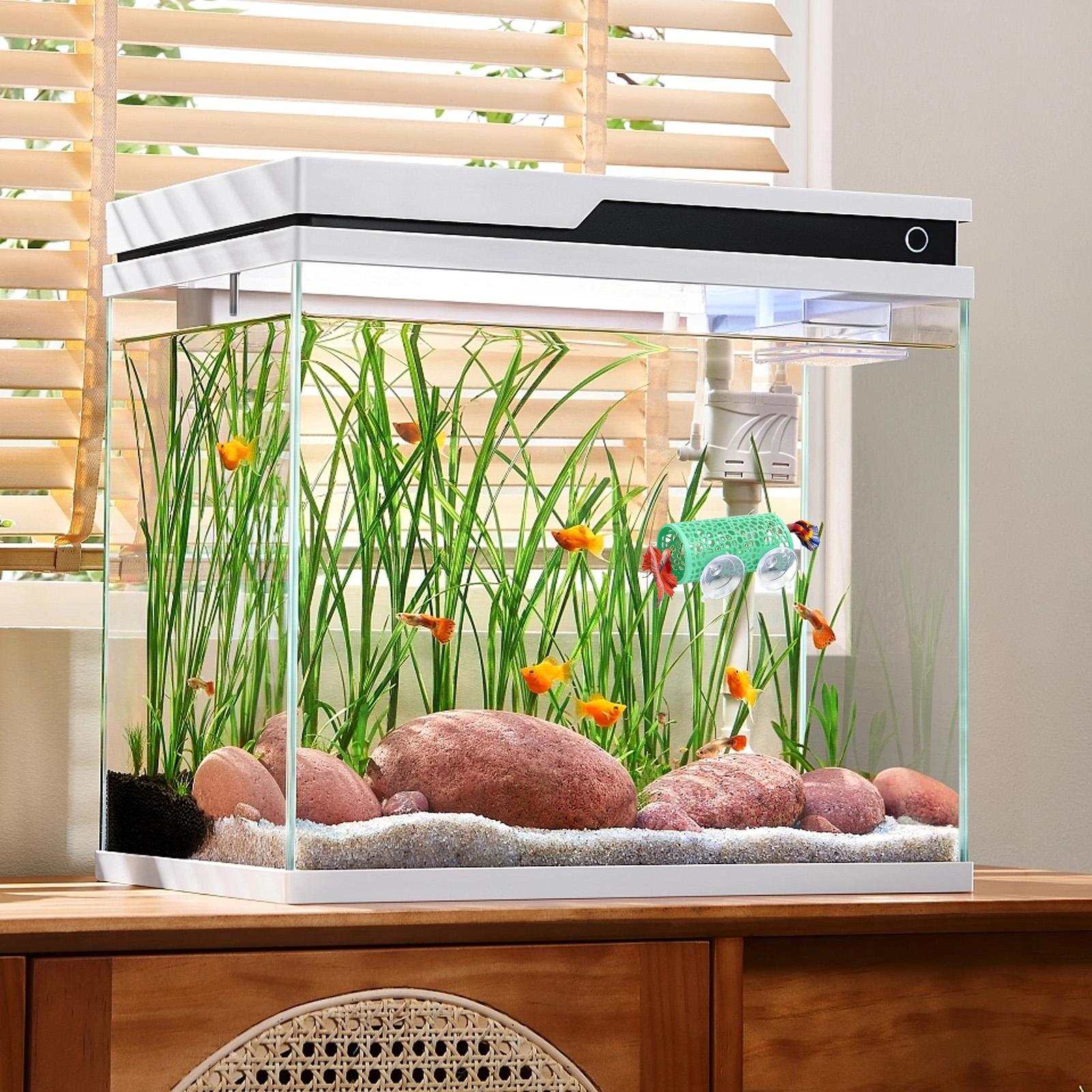 Betta-Habitat, Ruheplatz, Orna – Aquarium Fish Youtube Bewertung und Preis