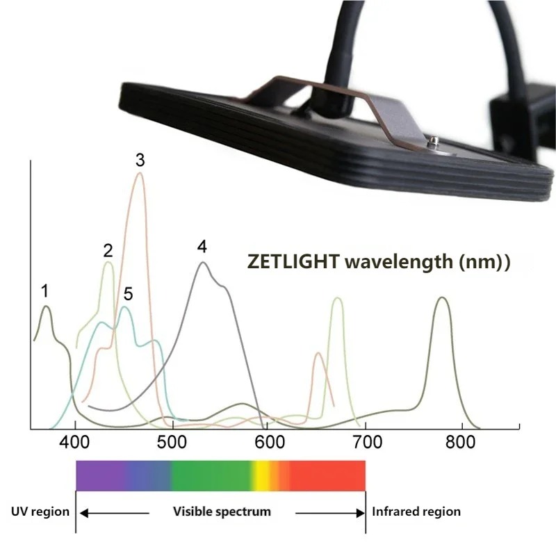 ZETLIGHT E2 WiFi Marine Aquari – Refugium Light Nano Bewertung und Preis