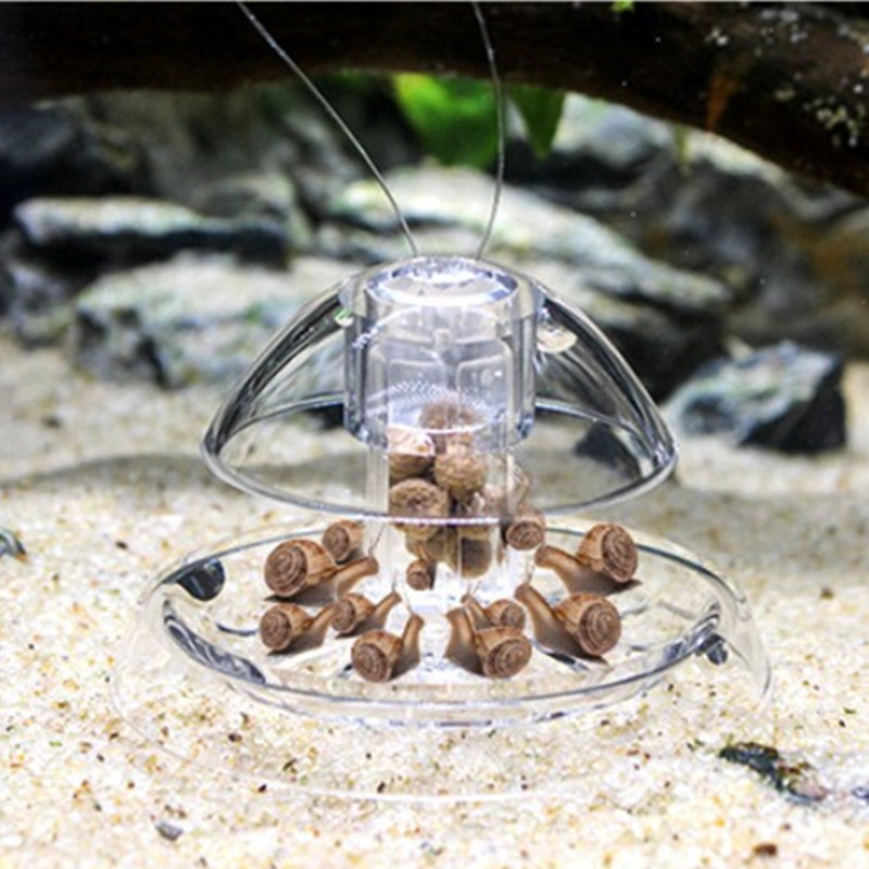 1 Stück Aquarium Aquarium Rein – Aquarium Fish Trap Bewertung und Preis