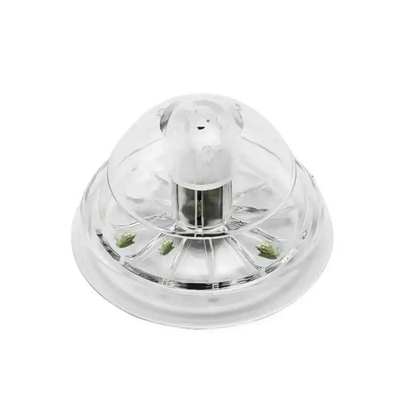 2026 Neu 6/8CM Klare Plastik-S – Aquarium Fish Trap Bewertung und Preis
