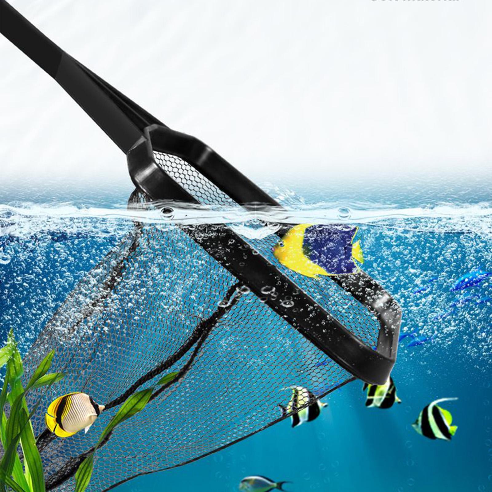 Poolnetz Aquarium Bergungsnetz – Aquarium Fish Trap Bewertung und Preis