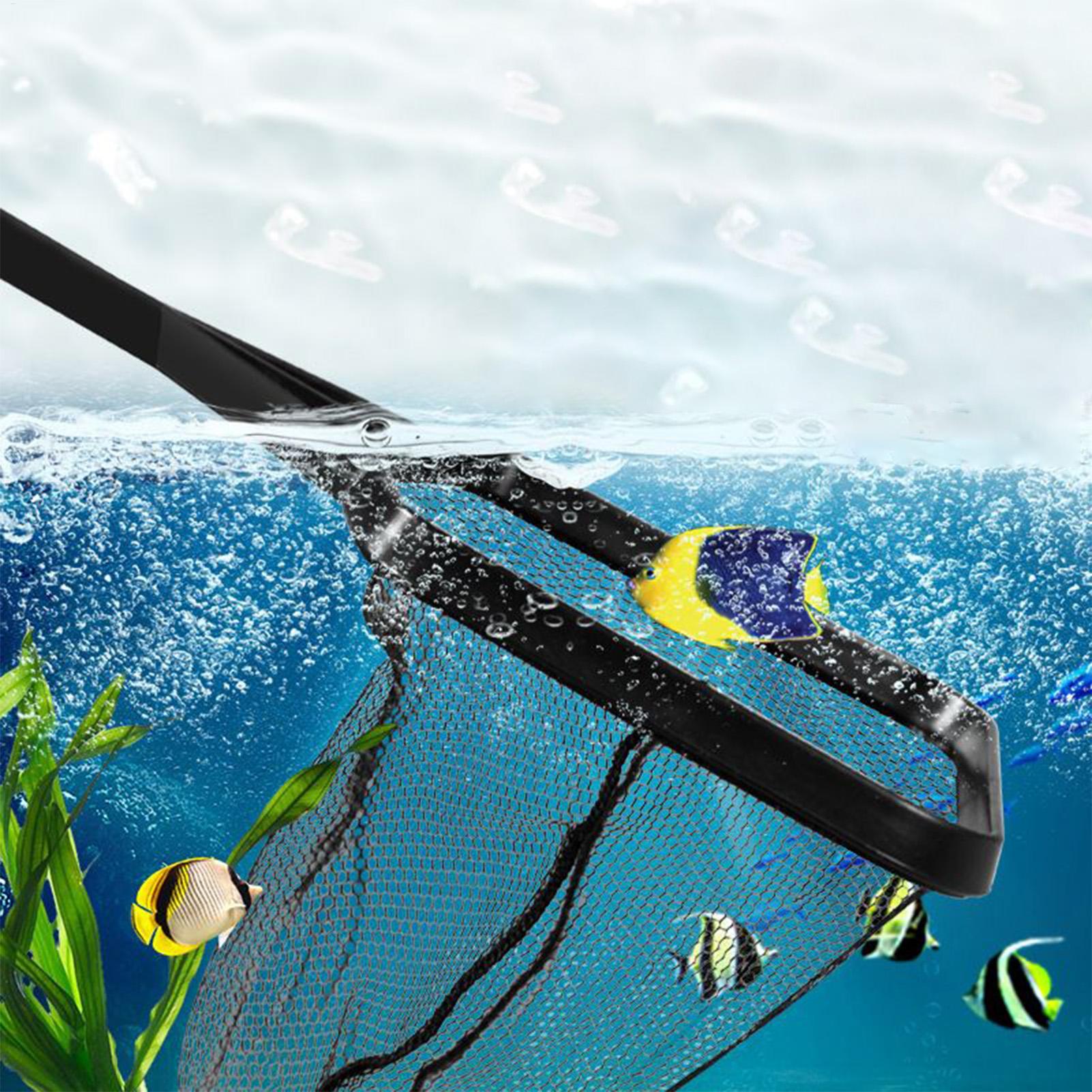 Poolnetz Aquarium Bergungsnetz – Aquarium Fish Trap Bewertung und Preis
