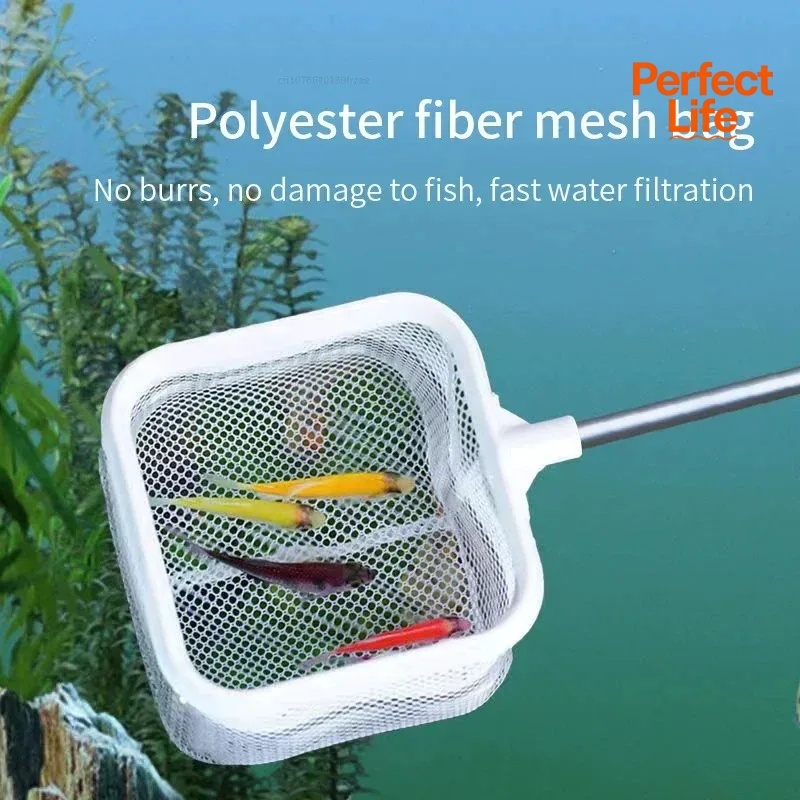 1, 2 Stück Edelstahl-Fischkesc – Aquarium Fish Trap Bewertung und Preis