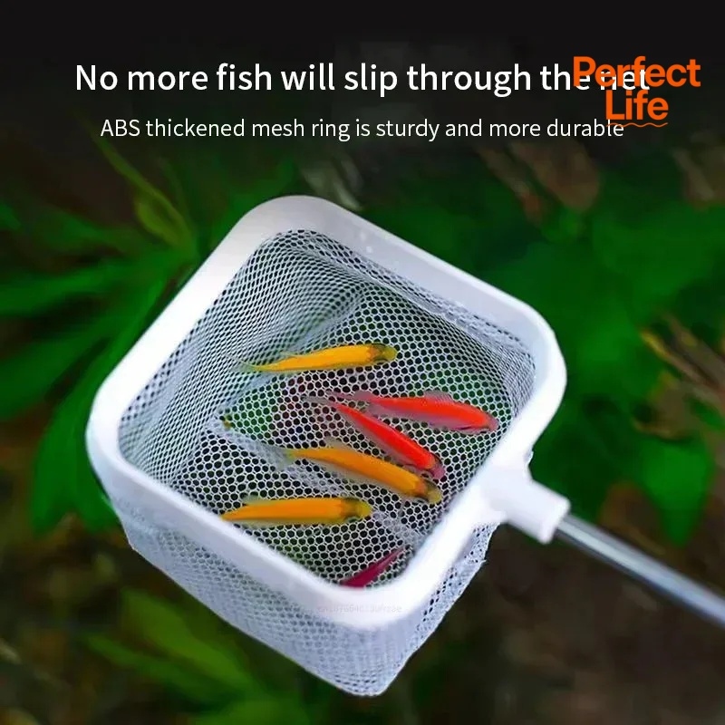 1, 2 Stück Edelstahl-Fischkesc – Aquarium Fish Trap Bewertung und Preis