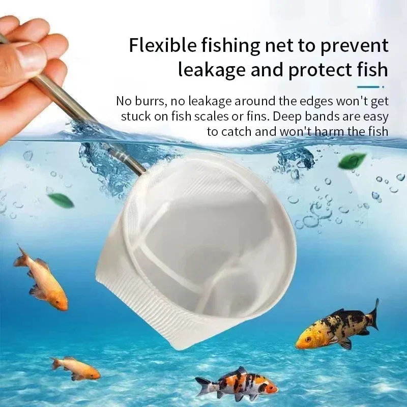 1, 2 Stück Edelstahl-Fischkesc – Aquarium Fish Trap Bewertung und Preis