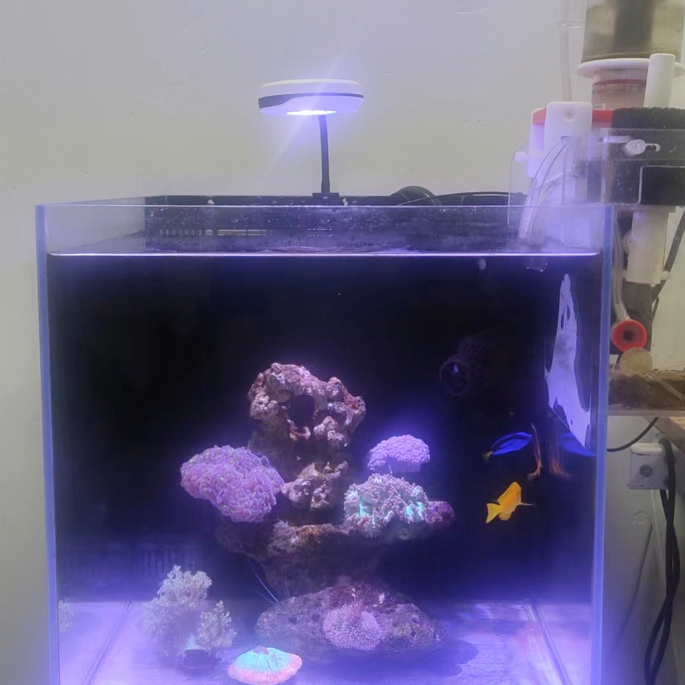 Spectra 20W LED Aquarium Licht – Refugium Light Nano Bewertung und Preis