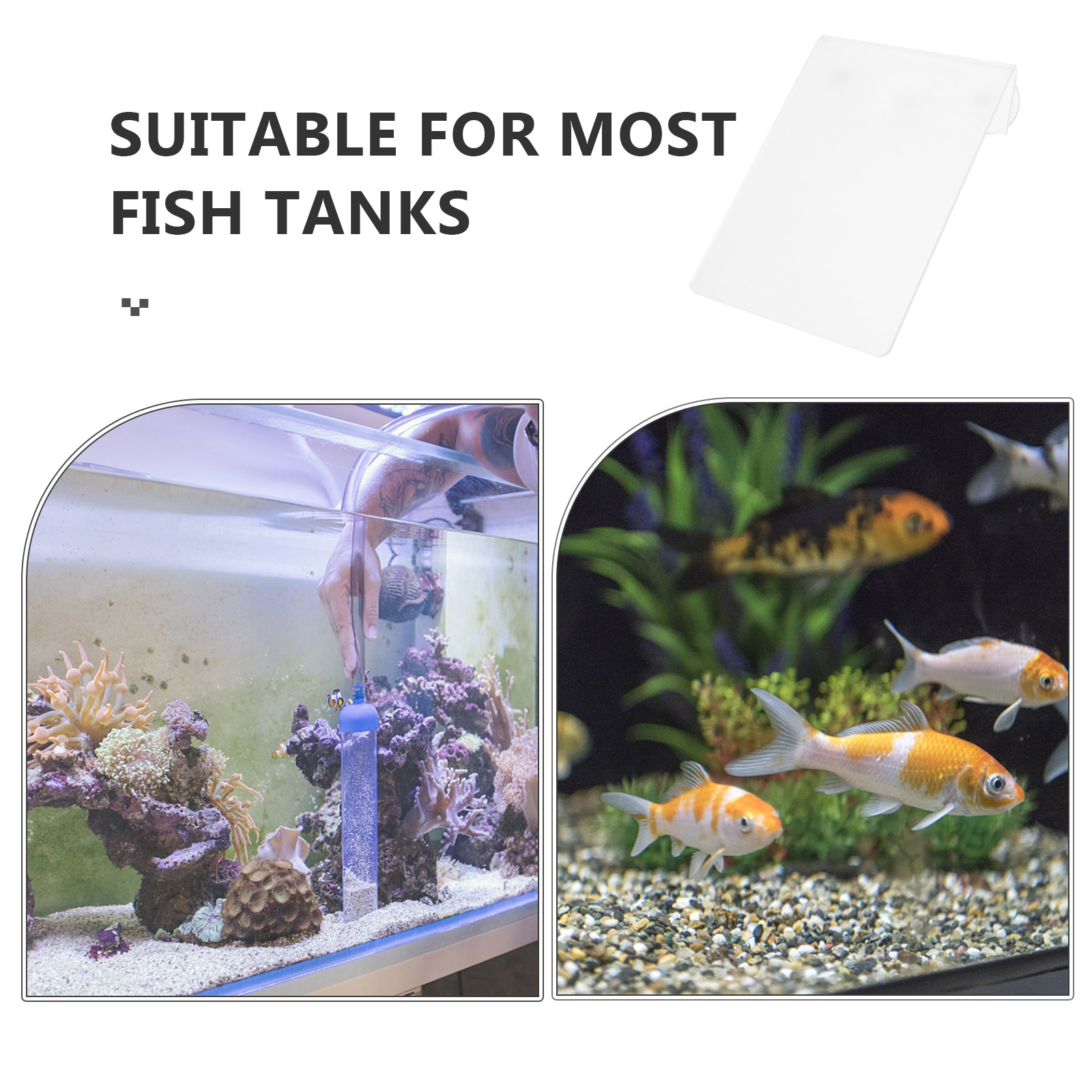 Abnehmbares Fischzucht-Set aus – Aquarium Fish Discus Bewertung und Preis