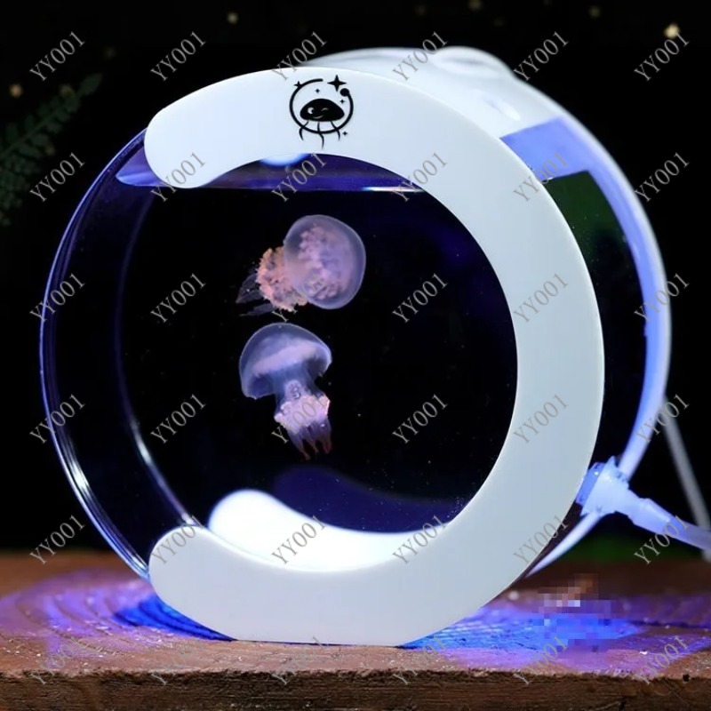 Desktop-Zirkulationsaquarium f – Aquarium Fish Real Bewertung und Preis