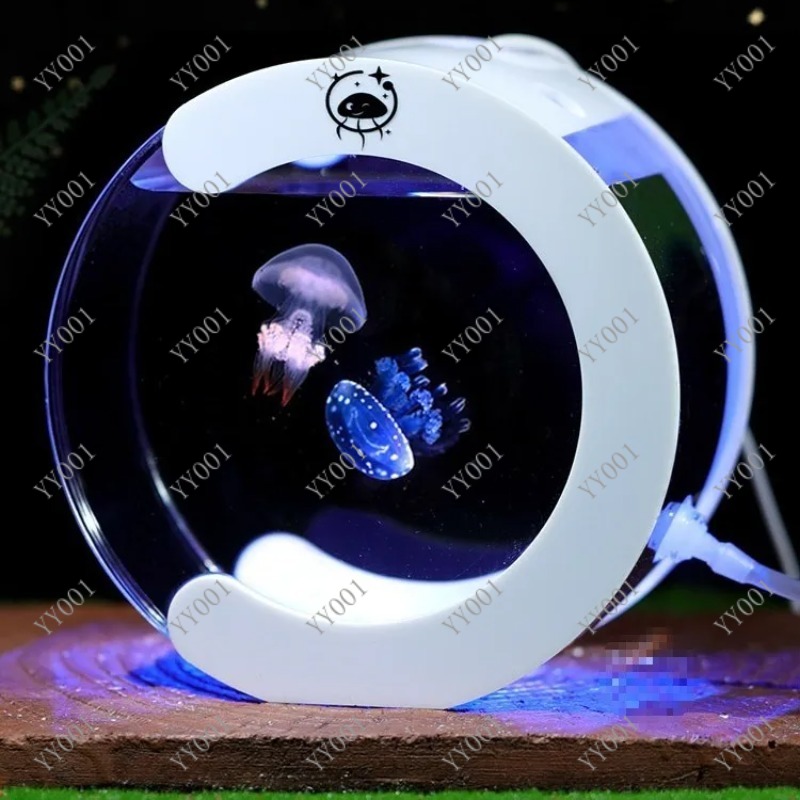 Desktop-Zirkulationsaquarium f – Aquarium Fish Real Bewertung und Preis