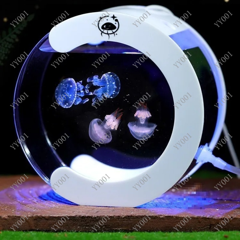 Desktop-Zirkulationsaquarium f – Aquarium Fish Real Bewertung und Preis