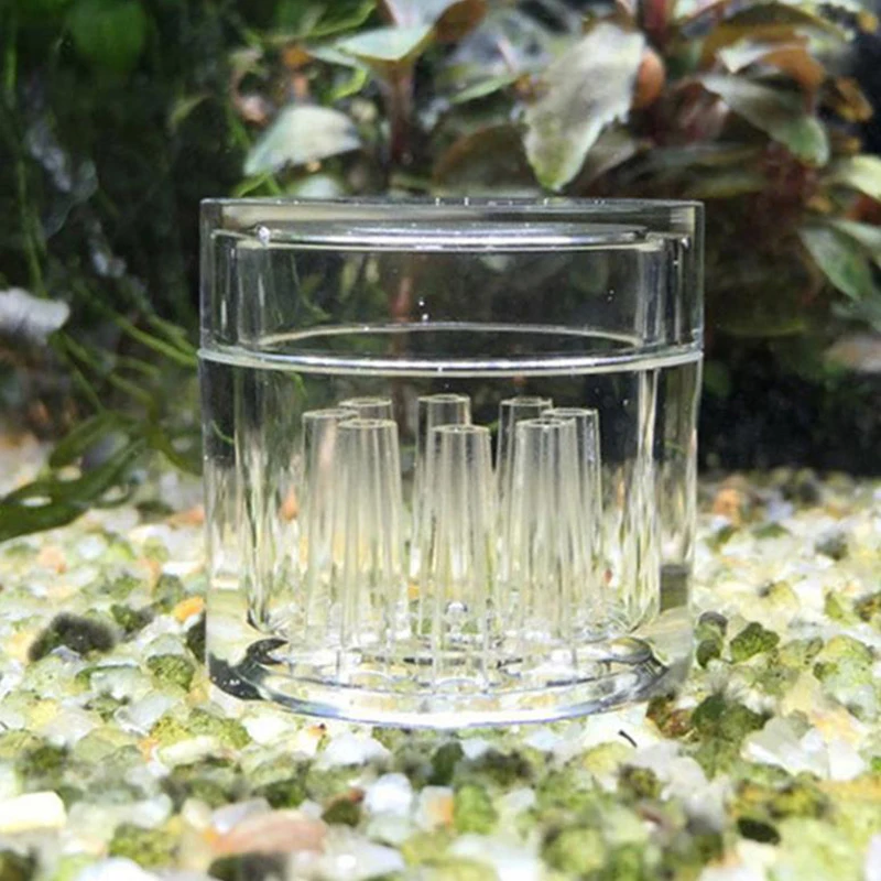 Hoch transparente Aquarium Aqu – Aquarium Fish Trap Bewertung und Preis
