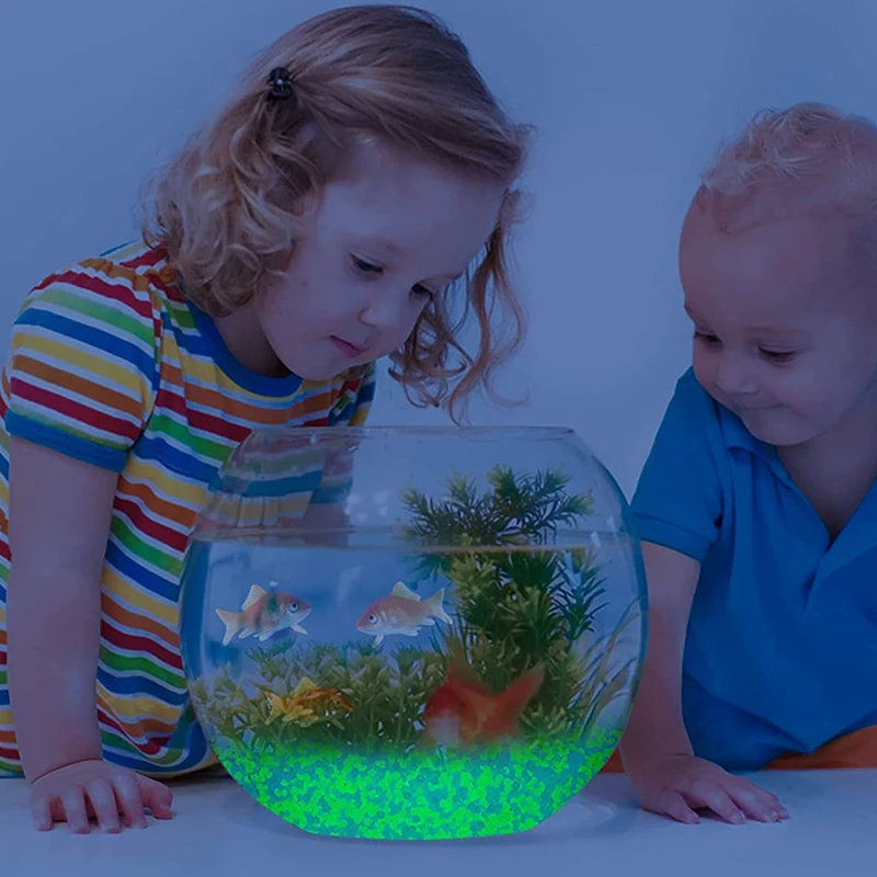 1000 Stück 3–5 mm leuchtender  – Aquarium Fish Real Bewertung und Preis