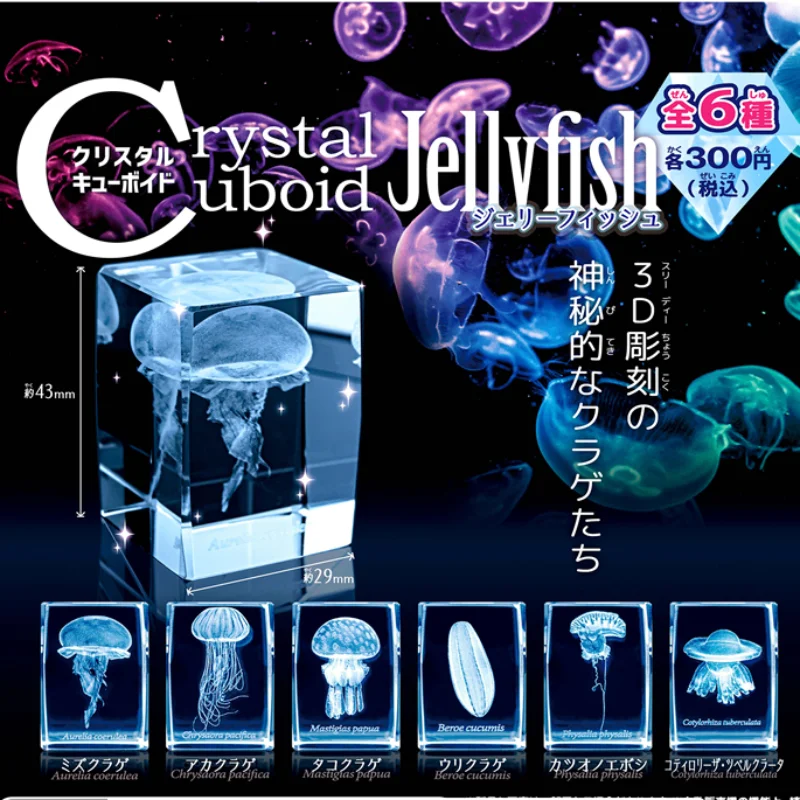 Japan Gashapon Quallen 3d Kris – Aquarium Fish Discus Bewertung und Preis
