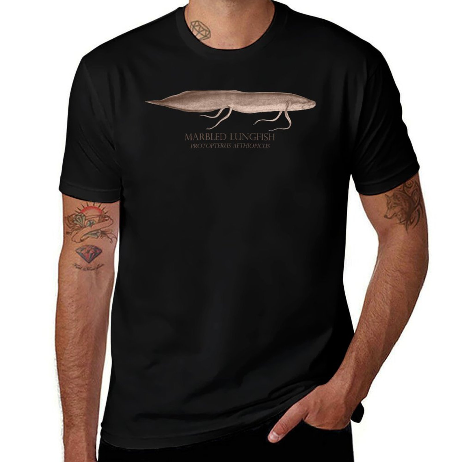 Lungfish Protopterus Aquarium  – Aquarium Fish Monster Bewertung und Preis