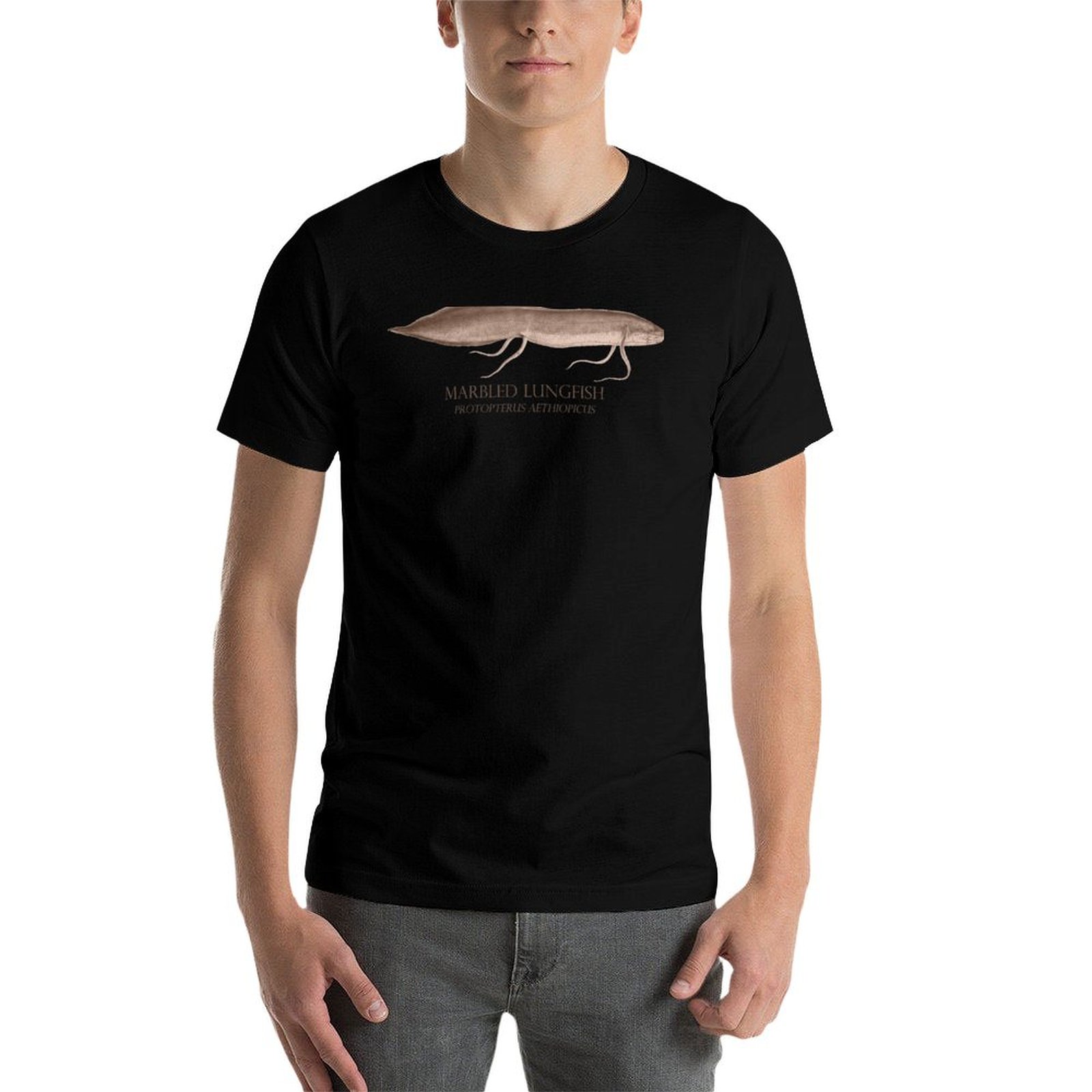 Lungfish Protopterus Aquarium  – Aquarium Fish Monster Bewertung und Preis