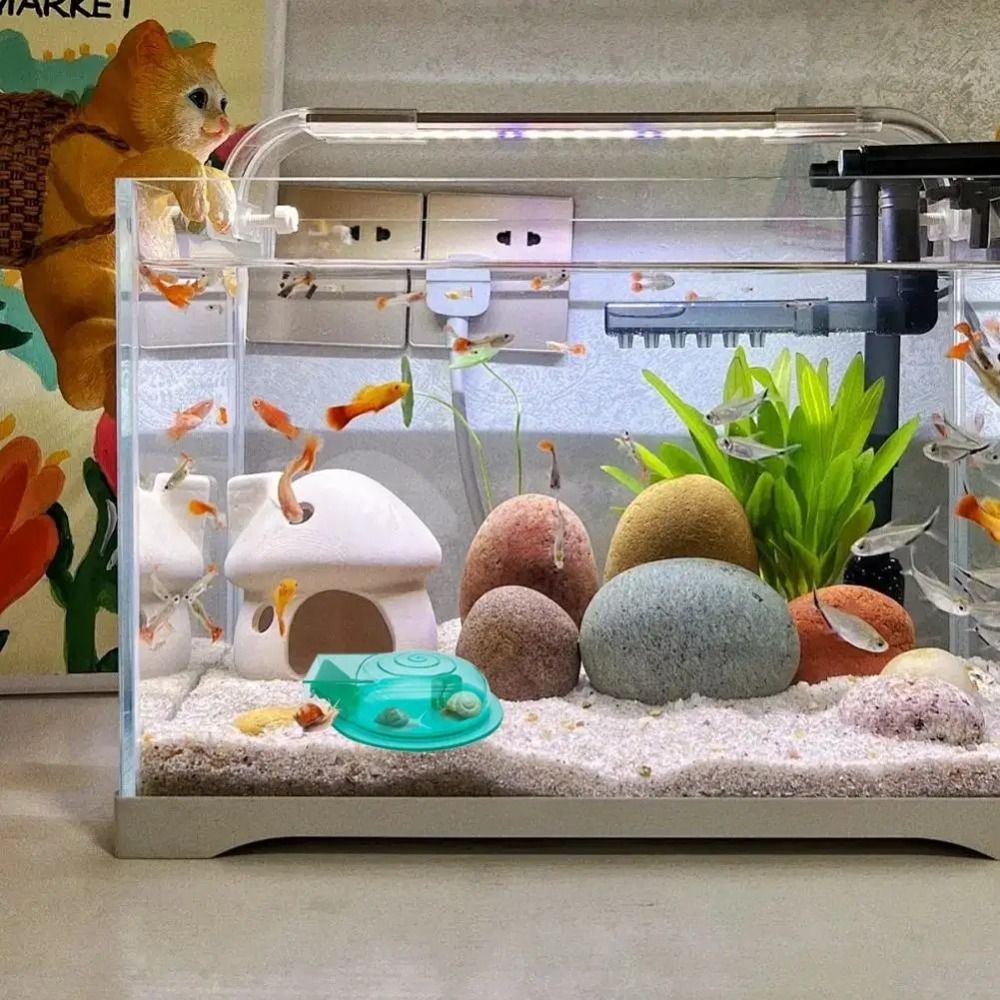 Süßwasser- und Salzwasser-Aqua – Aquarium Fish Trap Bewertung und Preis