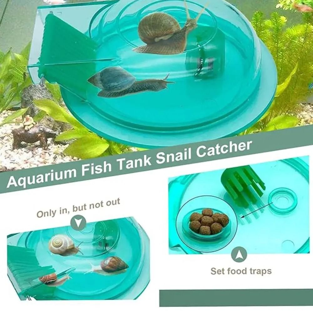 Süßwasser- und Salzwasser-Aqua – Aquarium Fish Trap Bewertung und Preis