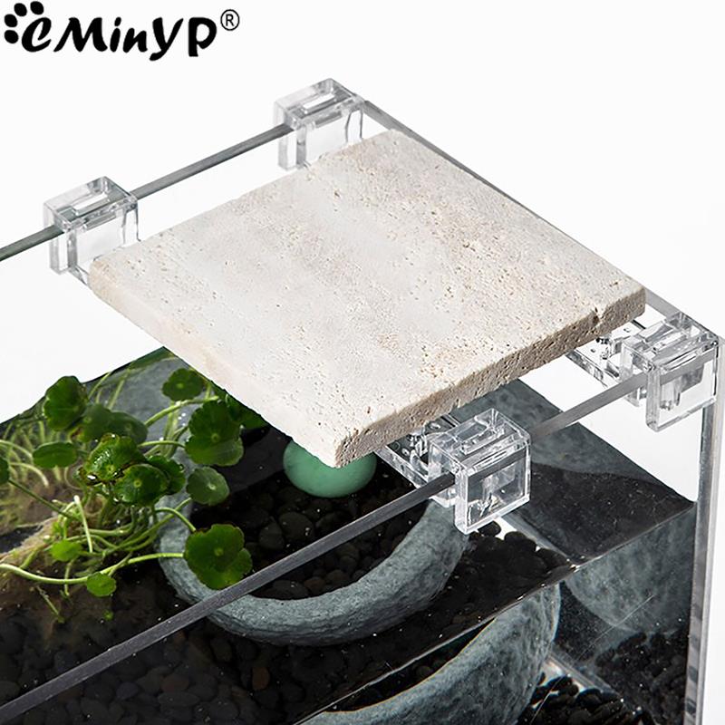 4Pcs Aquarium Acryl Clips für  – Aquarium Fish Real Bewertung und Preis