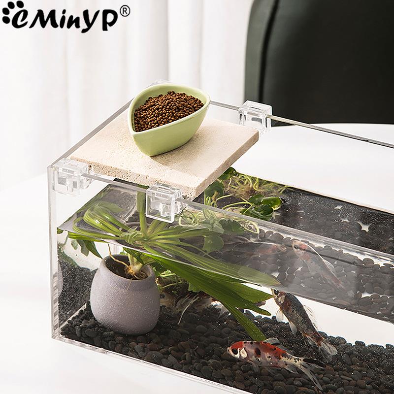 4Pcs Aquarium Acryl Clips für  – Aquarium Fish Real Bewertung und Preis