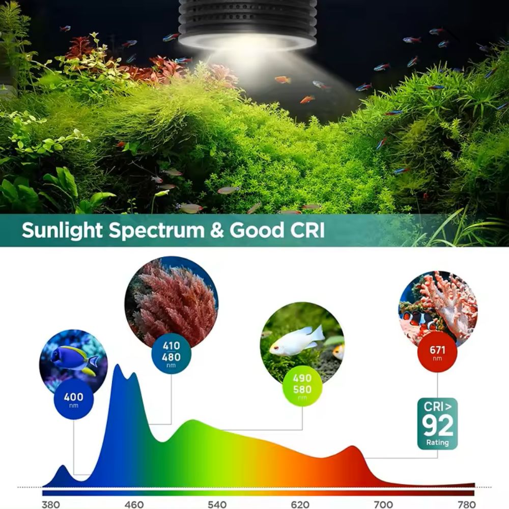 Lominie Asta 20 Süßwasser 18W  – Refugium Light Nano Bewertung und Preis