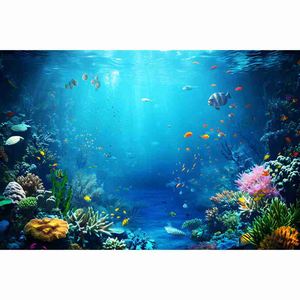 Unterwasser Ozean Welt Fotogra – Aquarium Fish Dolphin Bewertung und Preis