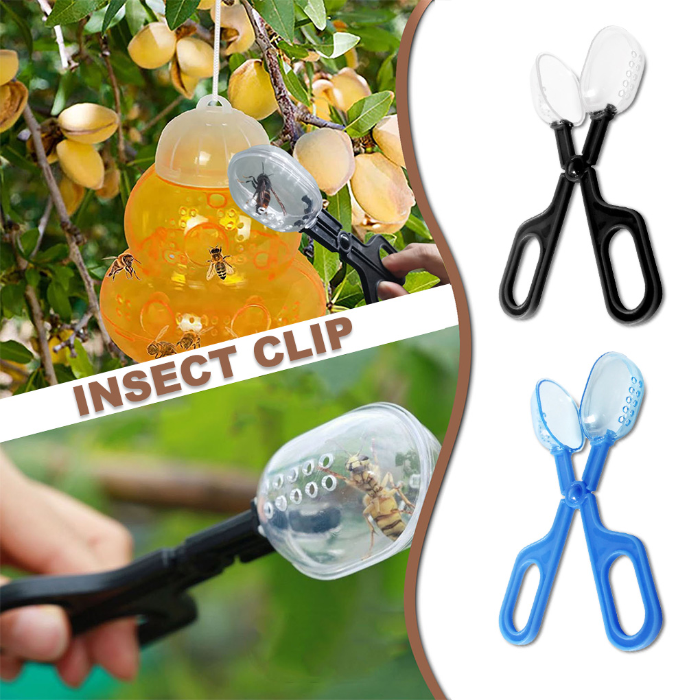 Tragbare Transparente Insekten – Aquarium Fish Trap Bewertung und Preis