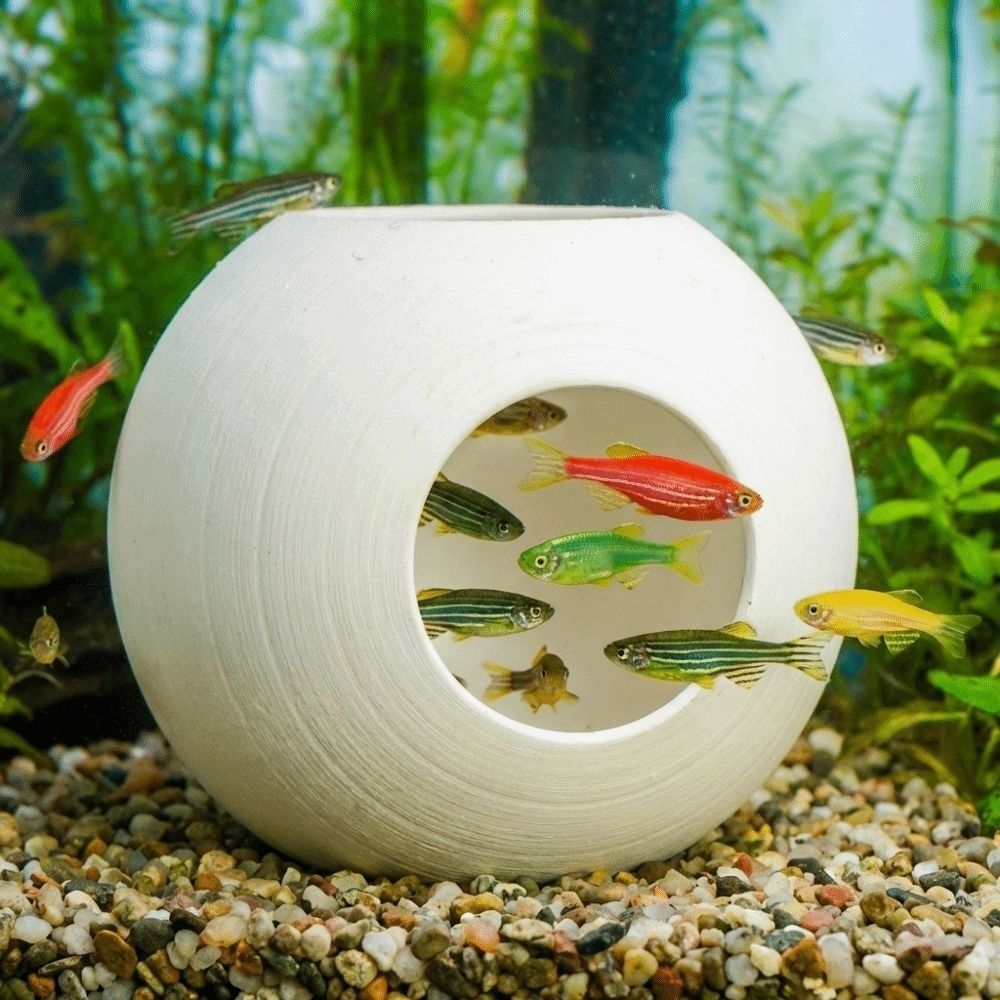 Kunststoff-Fisch- und Garnelen – Aquarium Fish Discus Bewertung und Preis