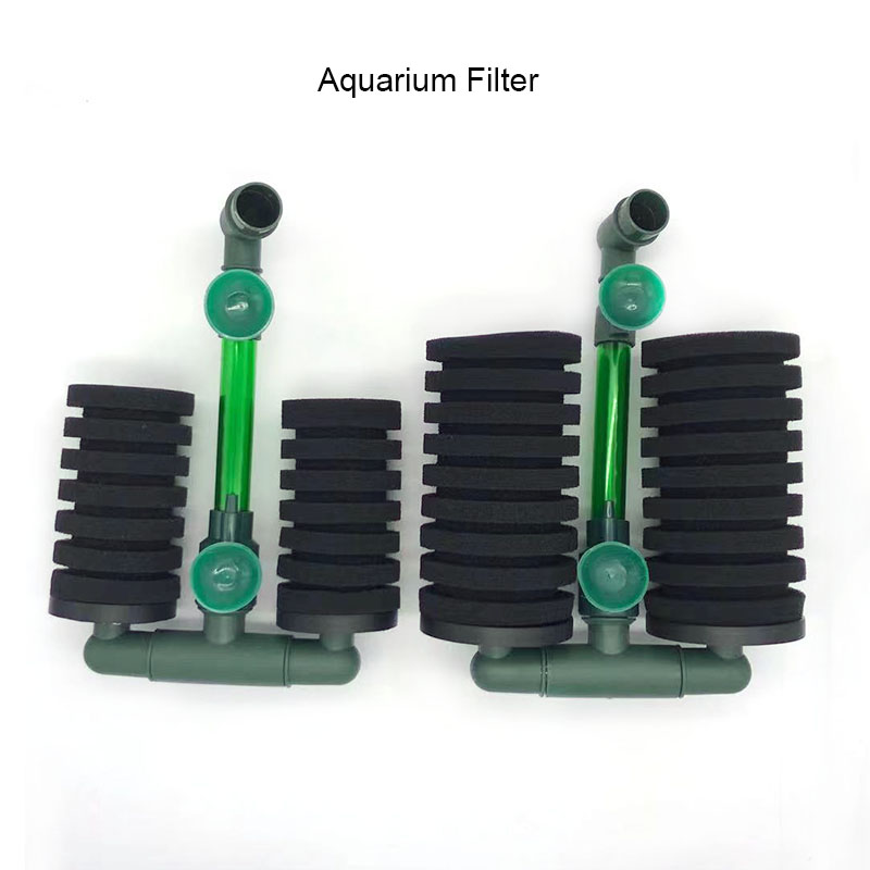 Hohe Qualität Grün Aquarium Fi – Aquarium Fish For Beginners Bewertung und Preis