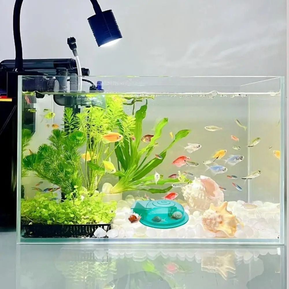 Süßwasser- und Salzwasser-Aqua – Aquarium Fish Trap Bewertung und Preis