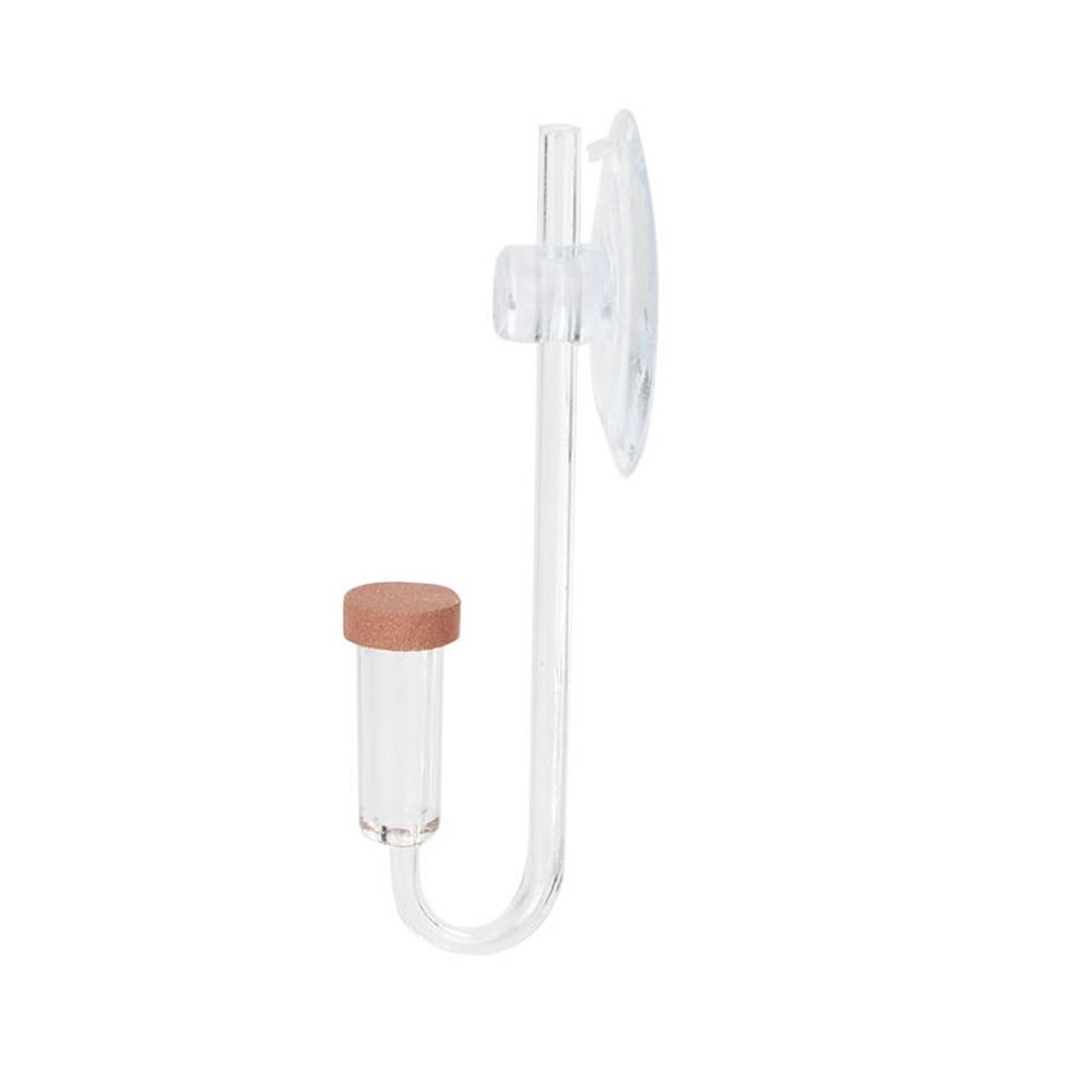 Acryl Mini Aquarium Live Pflan – Aquarium Fish Real Bewertung und Preis