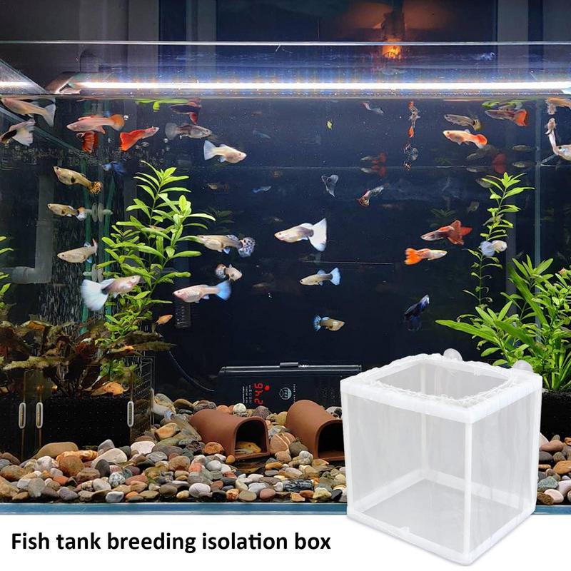 Fischzucht Box DIY Aquarium Br – Aquarium Fish Trap Bewertung und Preis