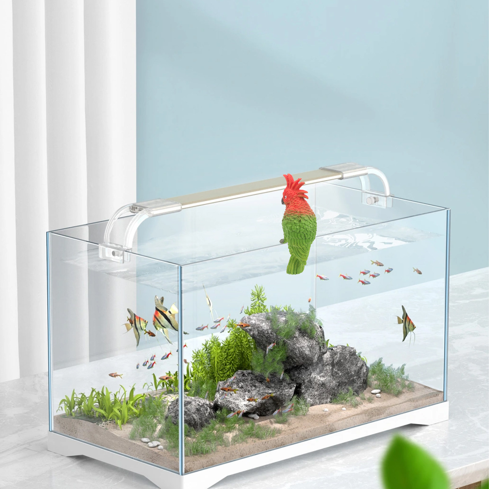 Mini-Papageien-Aquarium Wandde – Aquarium Fish Parrot Bewertung und Preis