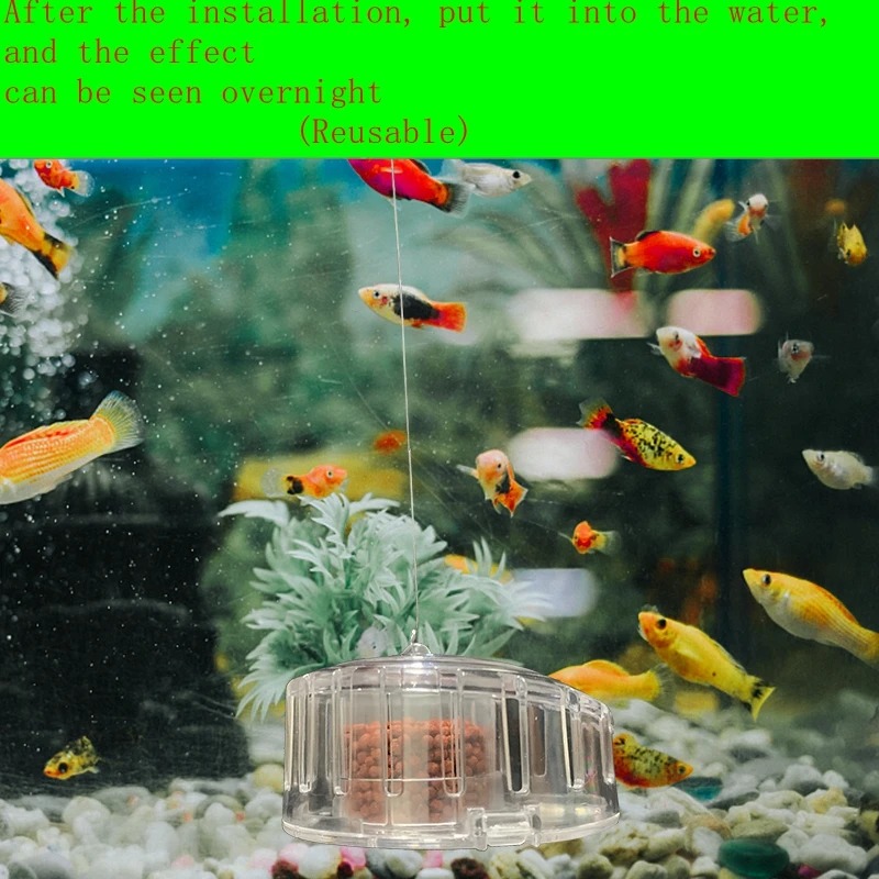 Aquarium Pflanze Schnecken fal – Aquarium Fish Trap Bewertung und Preis