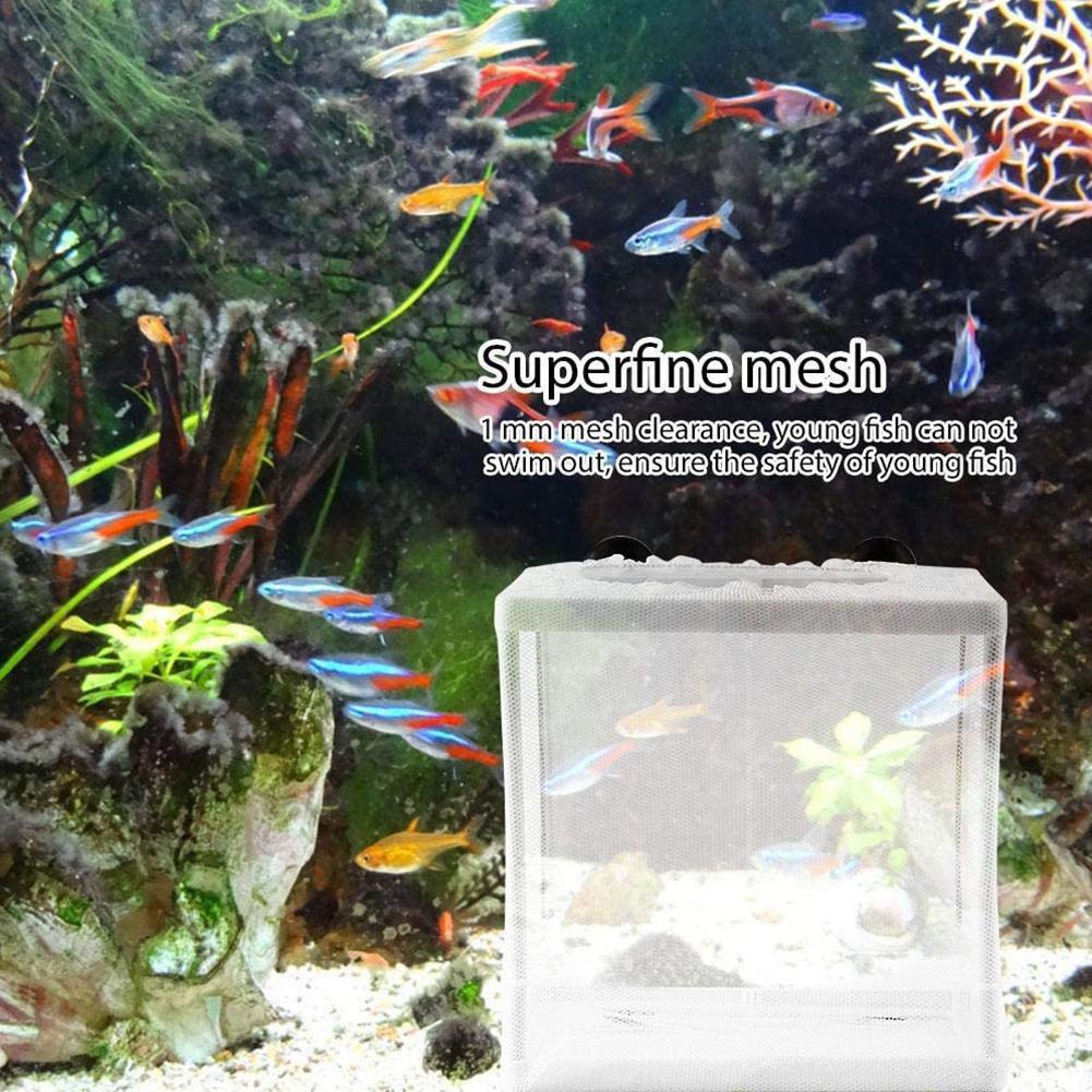 Brutkasten-Isolationsbox für A – Aquarium Fish Trap Bewertung und Preis