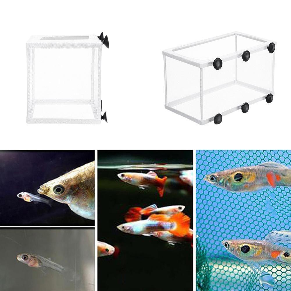 Brutkasten-Isolationsbox für A – Aquarium Fish Trap Bewertung und Preis