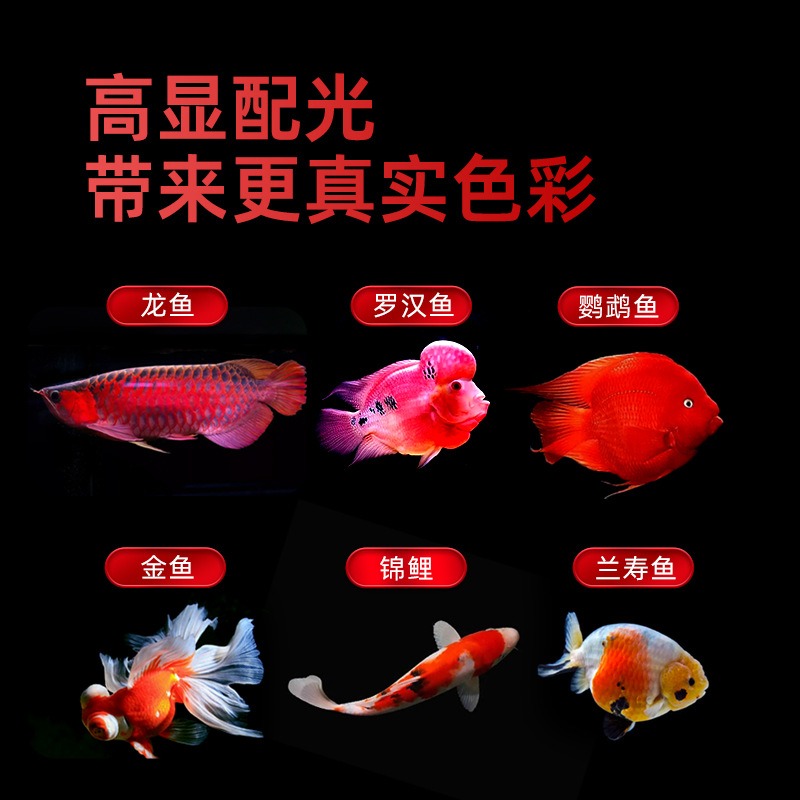 Wasserdichte dreifarbige LED-A – Aquarium Fish Parrot Bewertung und Preis