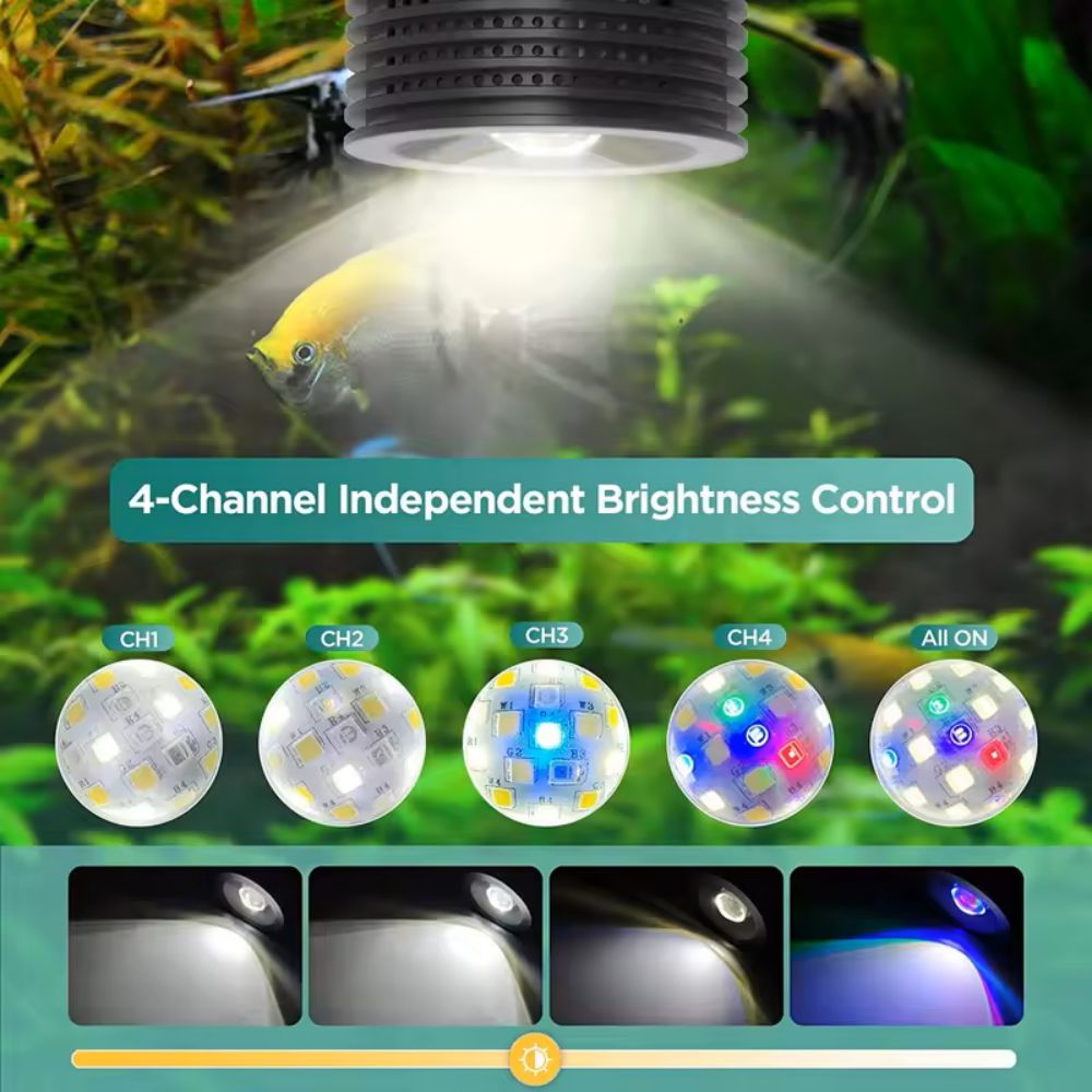 Lominie Asta 20 Süßwasser 18 W – Refugium Light Nano Bewertung und Preis