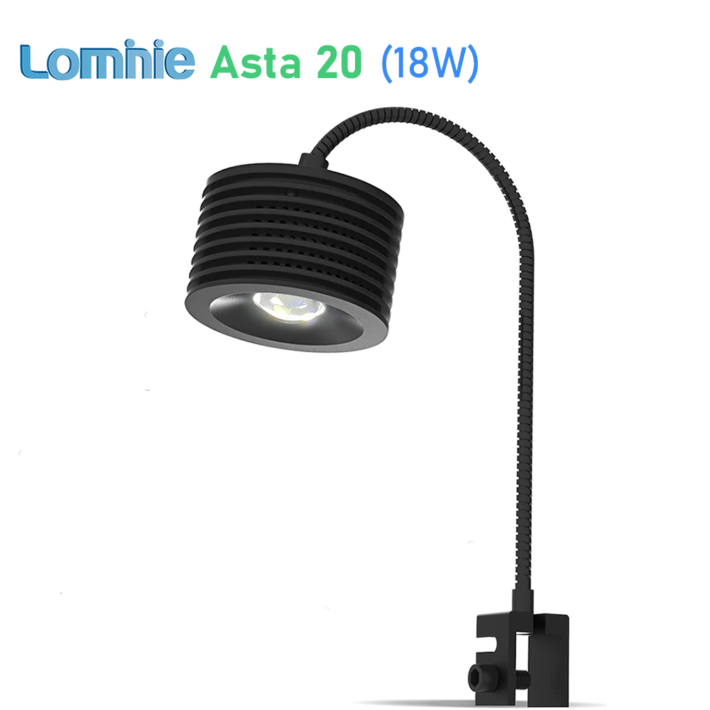 Lominie Asta 20 Süßwasser 18 W – Refugium Light Nano Bewertung und Preis