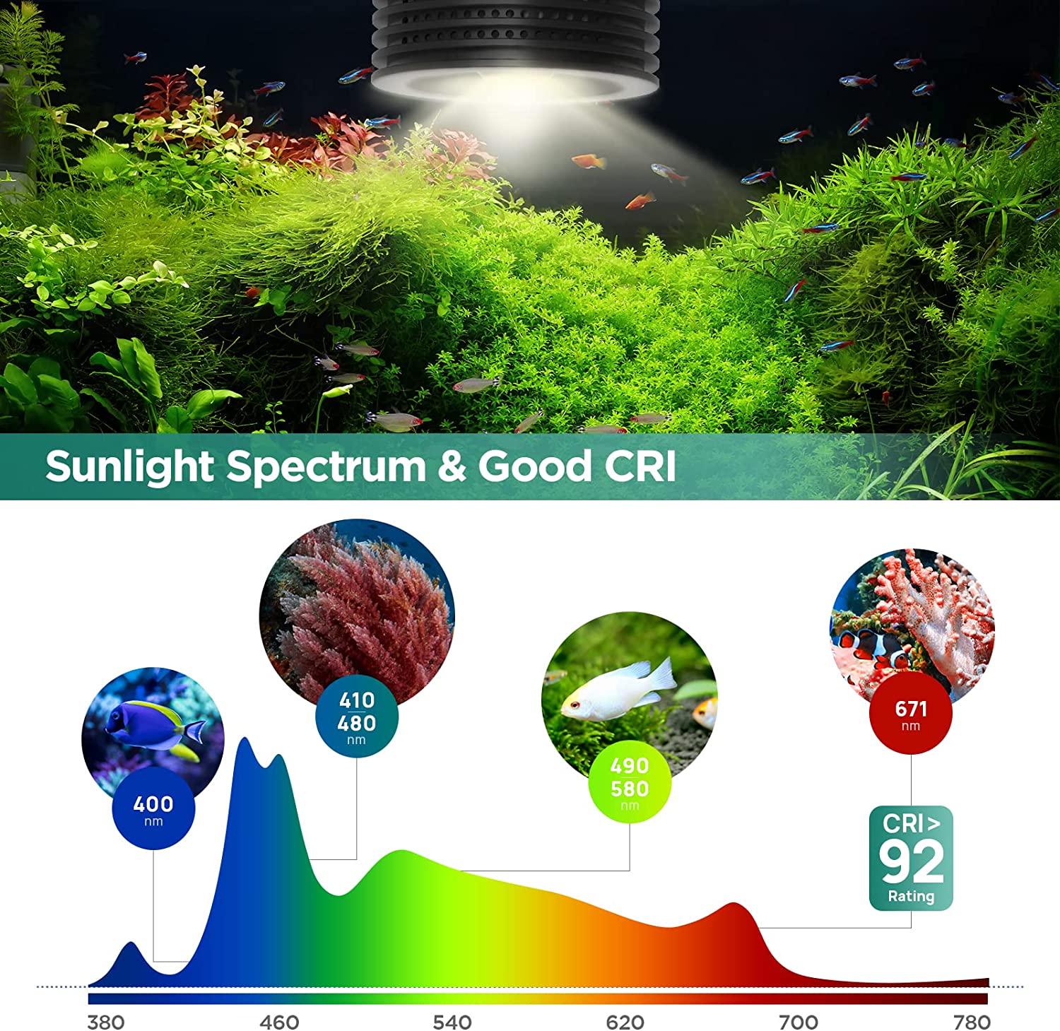 Lominie Asta 20 Süßwasser 18 W – Refugium Light Nano Bewertung und Preis