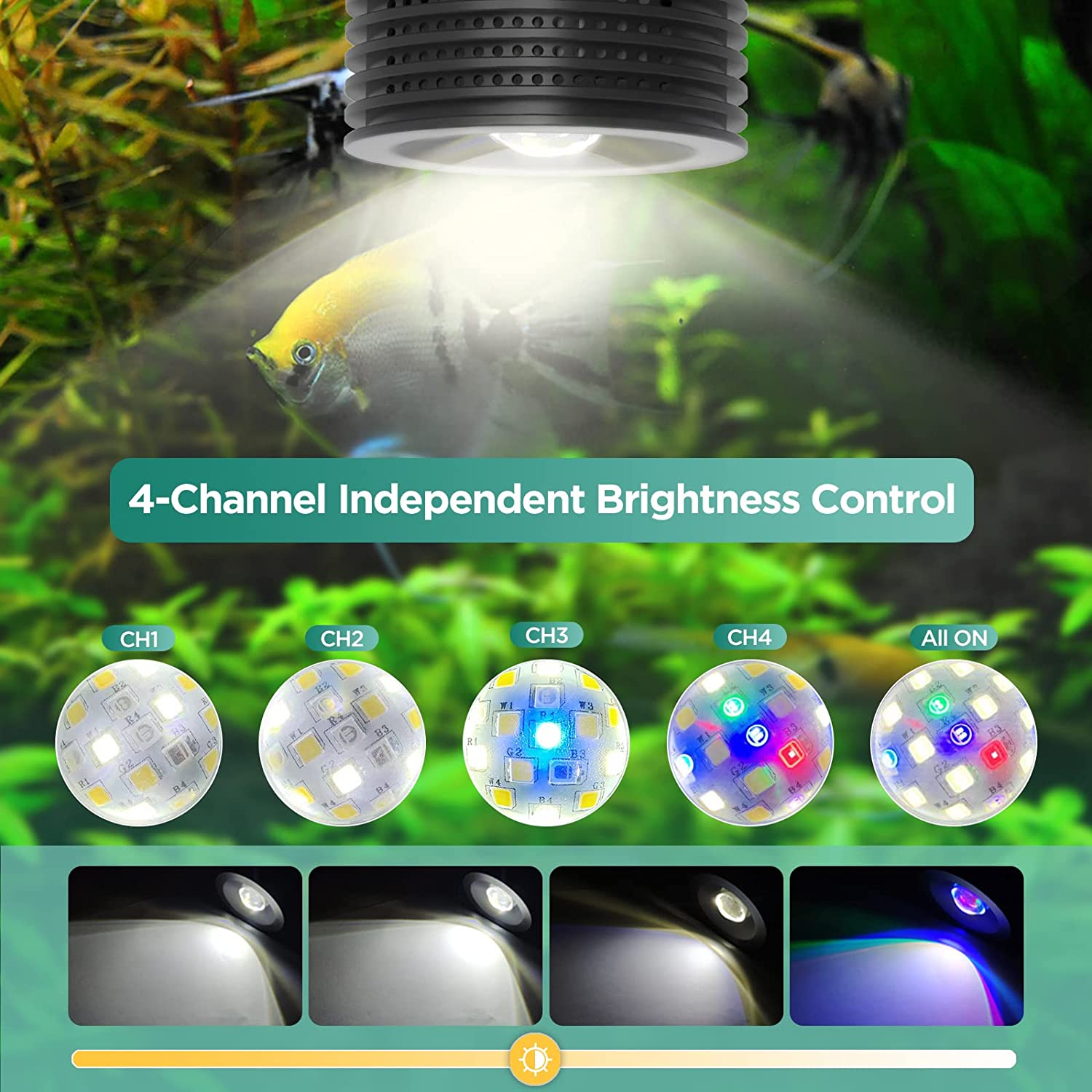 Lominie Asta 20 Süßwasser 18 W – Refugium Light Nano Bewertung und Preis